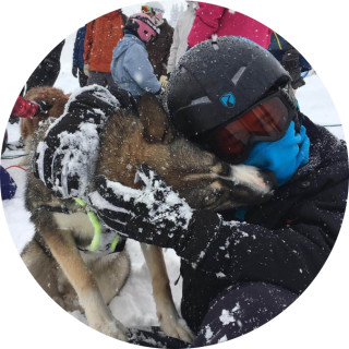 virtuallooroll avatar