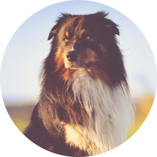 welovethe_earth avatar