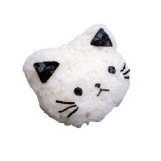 theturtlememe avatar