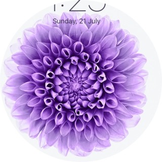 Dat_One_Meme_Kid avatar