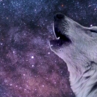 XoXoGalactic.wolf.loveXoXo avatar