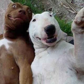 just_a_teen07 avatar