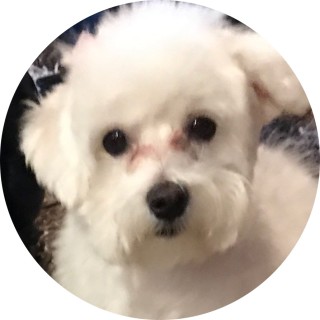 isla_williams avatar