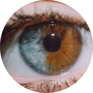 teamtoxicnumberone avatar