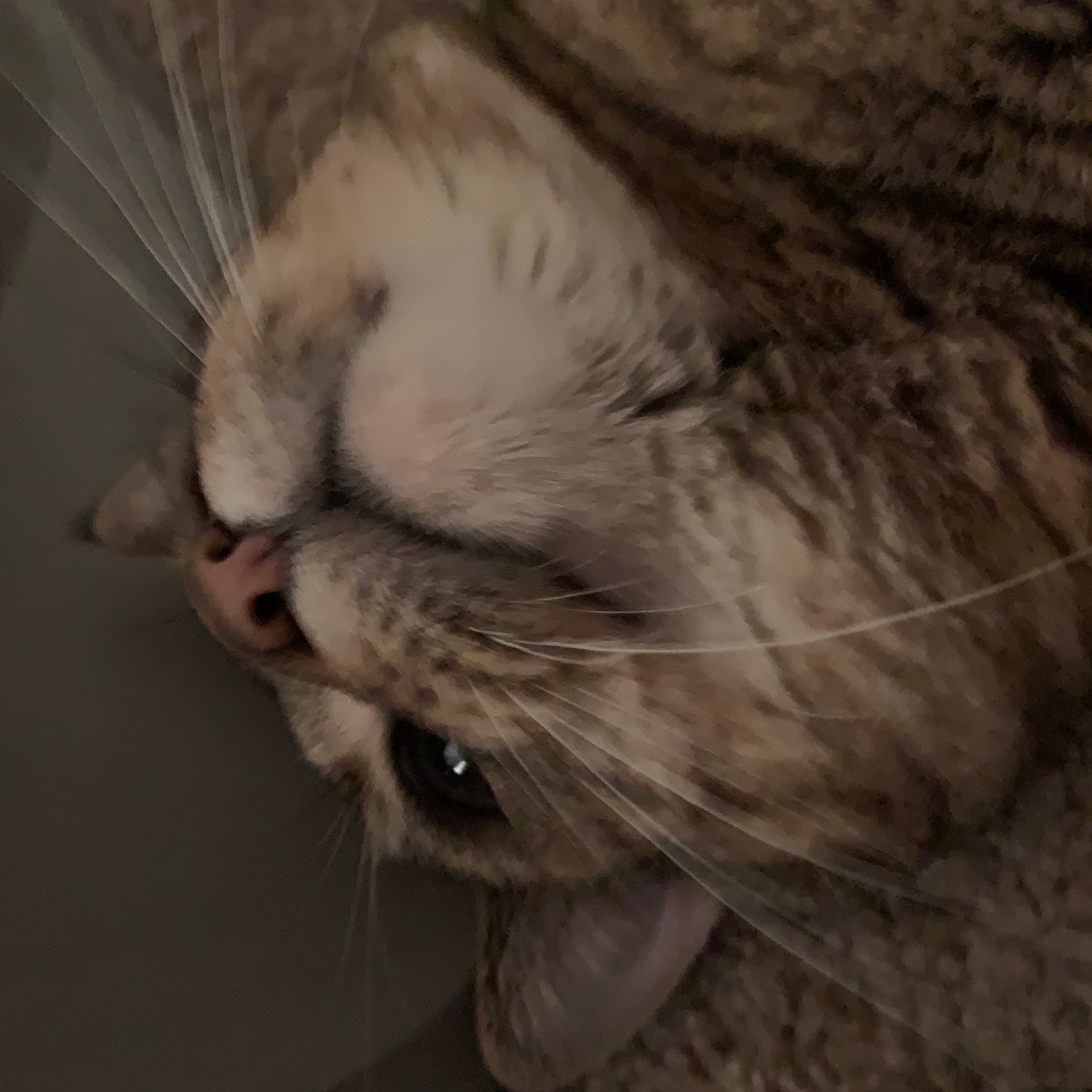 Itachi_Uchiha_0fficial avatar