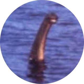 thanoschinrutger avatar