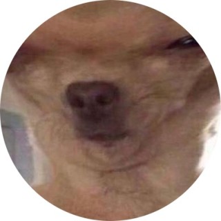 itsyogurlashy32 avatar