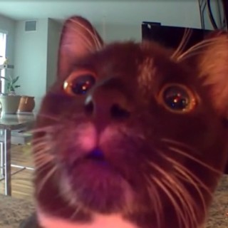 DepressoExpresso13 avatar