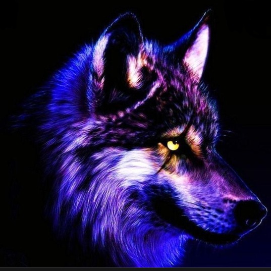 Coldlittlered avatar