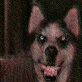 SmileChild1134 avatar