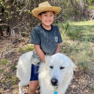 bolerotrucksltd avatar