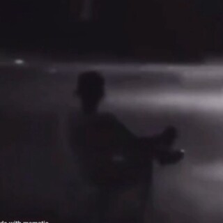 lonelygentlemen avatar