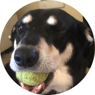 mememaster82408 avatar