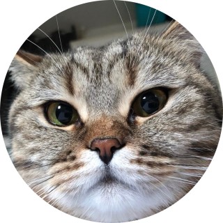 leftballsack69 avatar