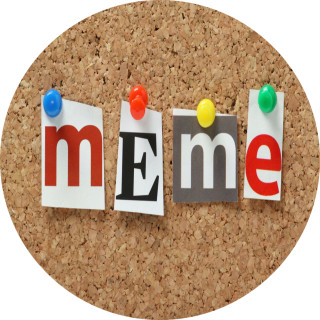 memer_t_series_sucks avatar