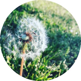 purple_kyley05 avatar