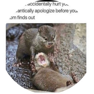 y0suantheswan avatar