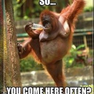 loganhastings12 avatar