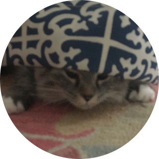 aria_holby_cat avatar