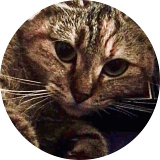 yasqween2010_sj avatar