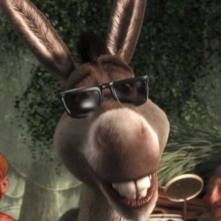 donkey_man1 avatar