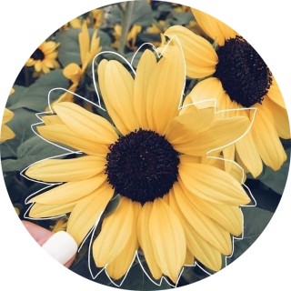 Avah_Anderson avatar