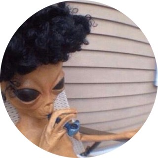 mayoisaninstrument avatar