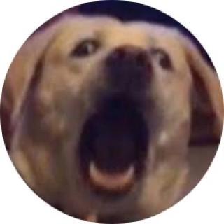 i_live_in_wrld avatar