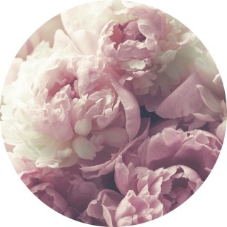 rosieloves_you_all avatar