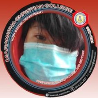 delfinmattdaniel avatar