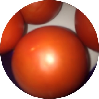 holy_tomatoes avatar