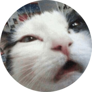 memerdreamer2219 avatar