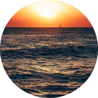 madss_memes_55 avatar