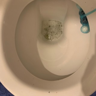 i_like_my_toilet avatar