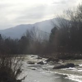 condefamily1173 avatar