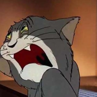 Johnnys_bag_of_memes avatar