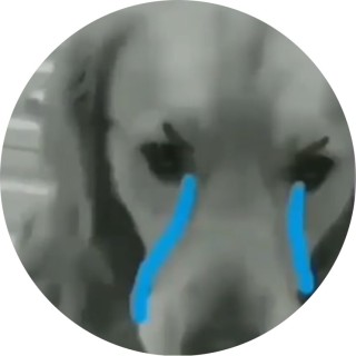 family__friendly__memes avatar