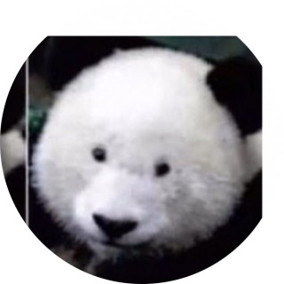 margottttttttty avatar