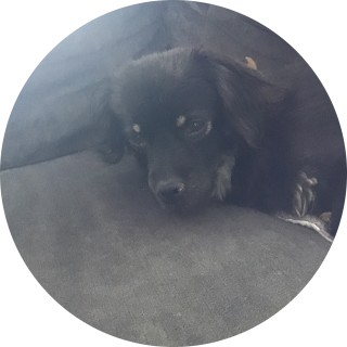 waffelthatburnt avatar