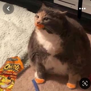 M_Y_D_A_D_L_E_F_T avatar