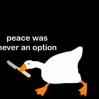 Something_idk avatar