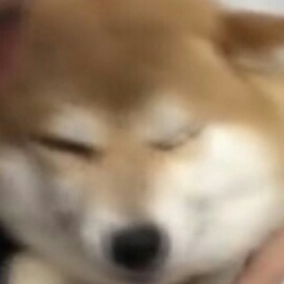 Max_The_Doggo avatar