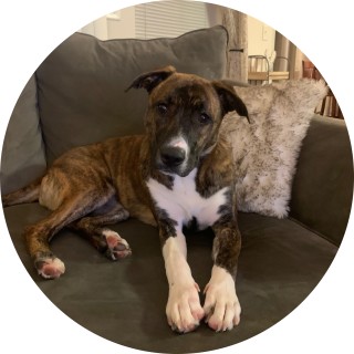 skittlesgirl03 avatar