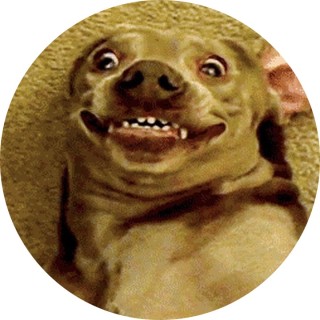 juniorthebest07 avatar