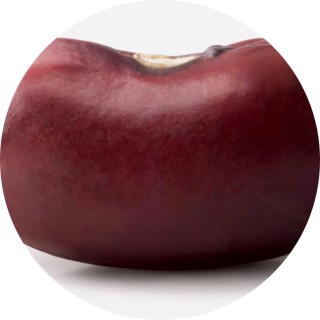 Its_Uncle_Beans avatar