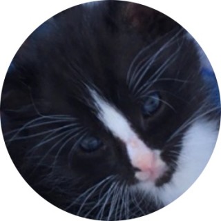 FishyWishyFightz avatar