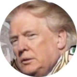 hay_yo_hamsters avatar