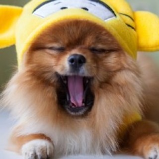 flavianadinizfernandes2 avatar