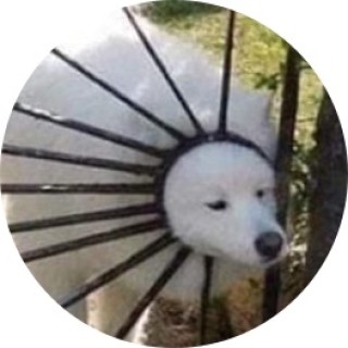 razorninja8482 avatar