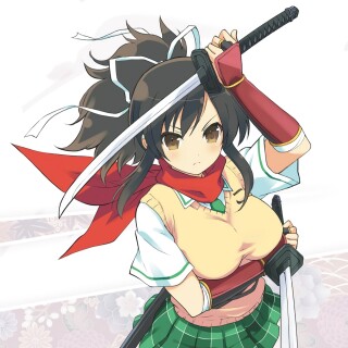 Senran_Kagura_enjoyer avatar